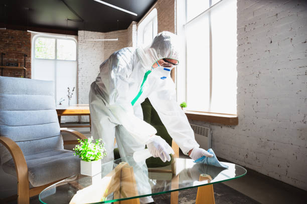 Professional Mold Removal in Hempstead, TX